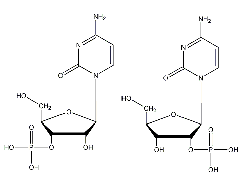 尿苷酸结构式